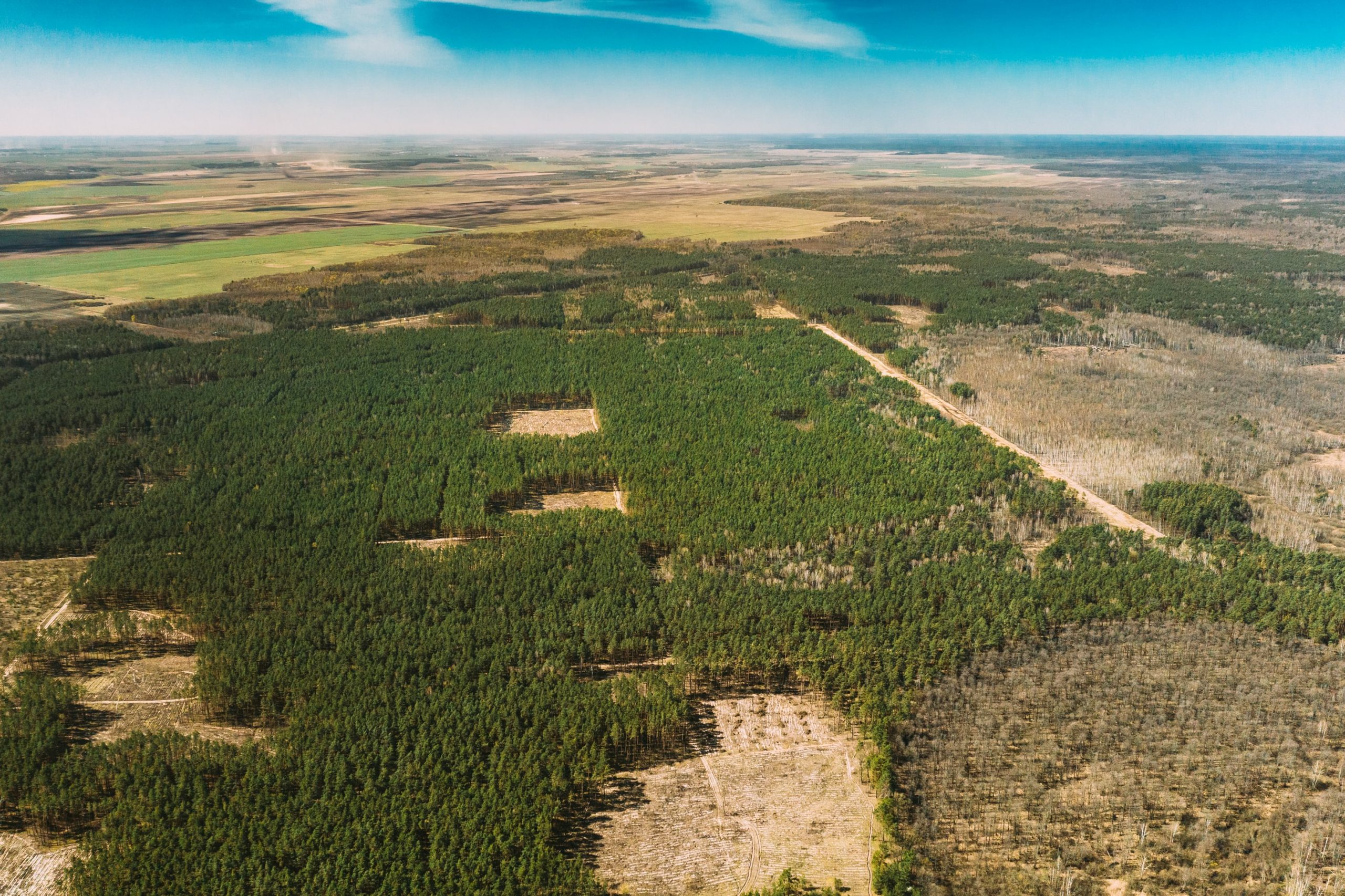 Bureau Veritas, Kayrros and OPTEL join forces to help companies reduce supply chain-induced deforestation